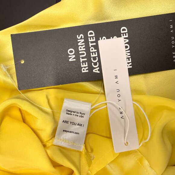 New With Tags- Never Worn- ARE YOU AM I Ninfa Dress - Picture 4 of 8